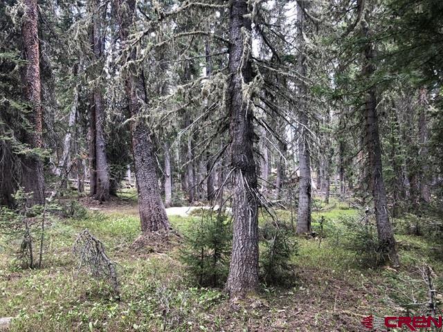 Tbd Ruby Silver Road Property Photo 17