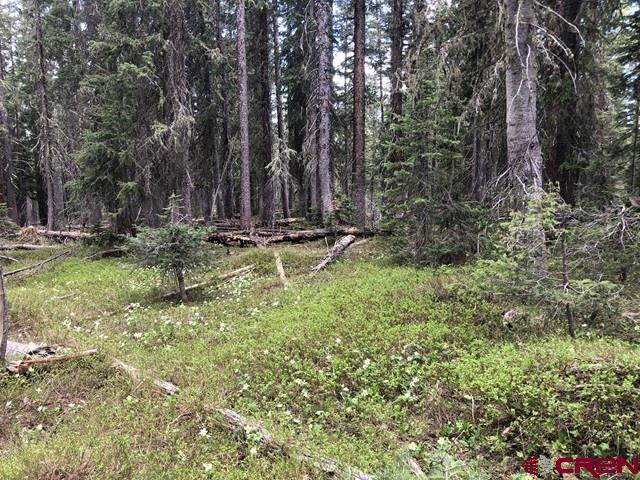 Tbd Ruby Silver Road Property Photo 18