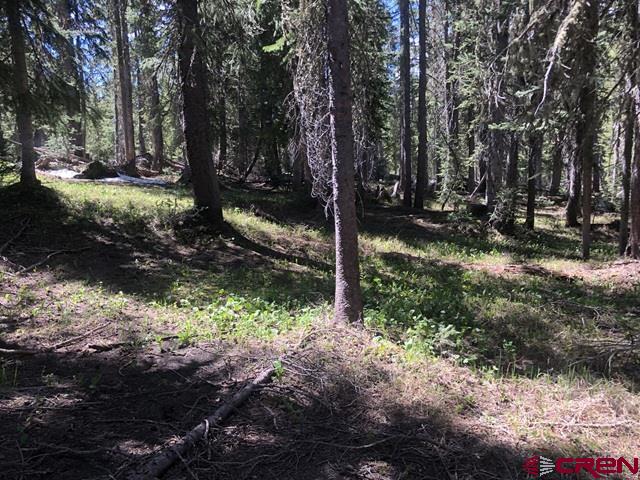 Tbd Ruby Silver Road Property Photo 19
