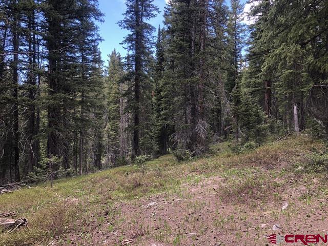 Tbd Ruby Silver Road Property Photo 25