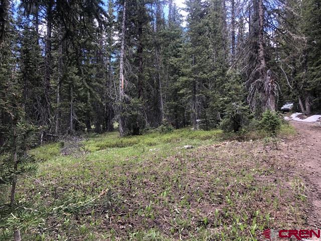 Tbd Ruby Silver Road Property Photo 26