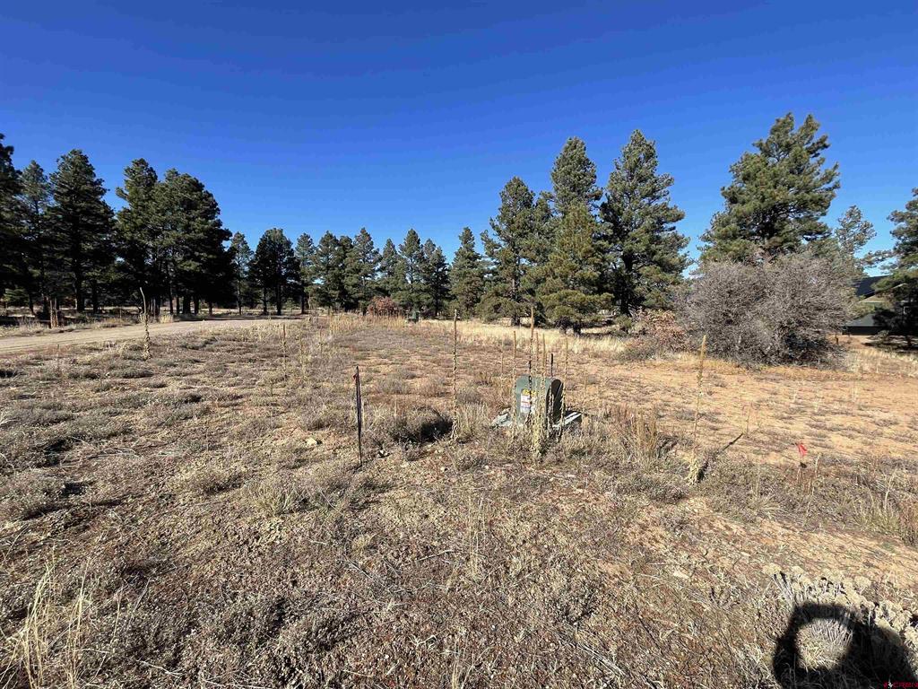 157 Mansions Circle Property Photo 4