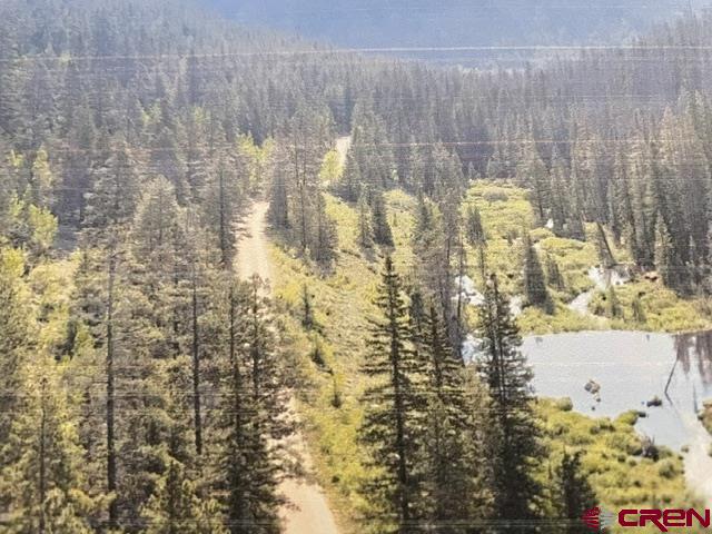 Tbd Usfs Rd 766 Road Property Photo 2