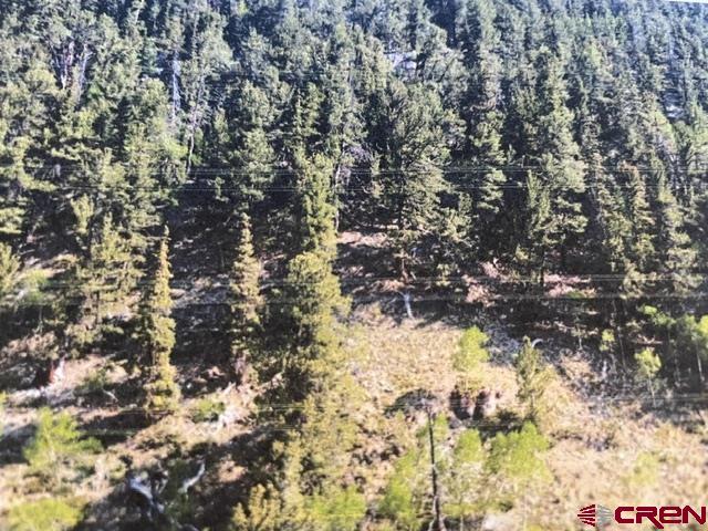 Tbd Usfs Rd 766 Road Property Photo 3