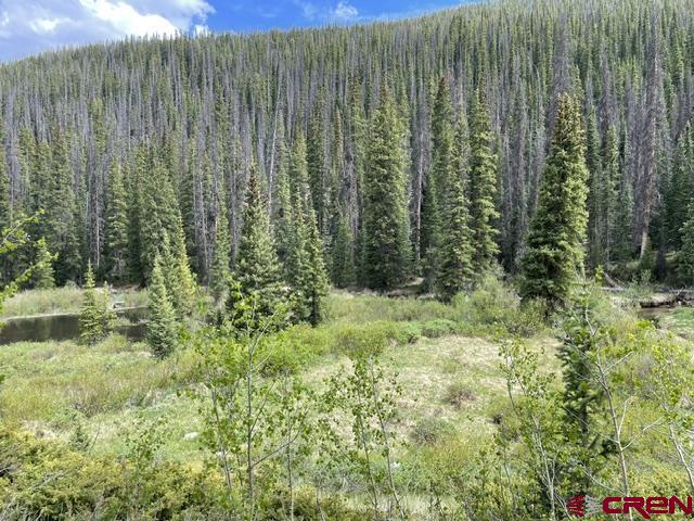 Tbd Usfs Rd 766 Road Property Photo 5