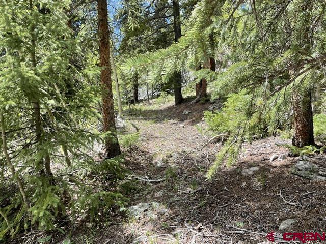 Tbd Usfs Rd 766 Road Property Photo 7