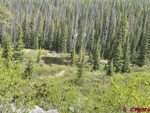 Tbd Usfs Rd 766 Road Property Photo 9