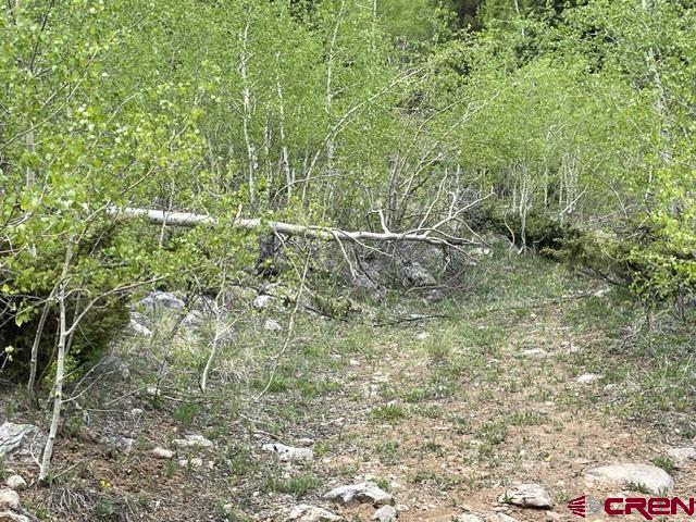 Tbd Usfs Rd 766 Road Property Photo 10