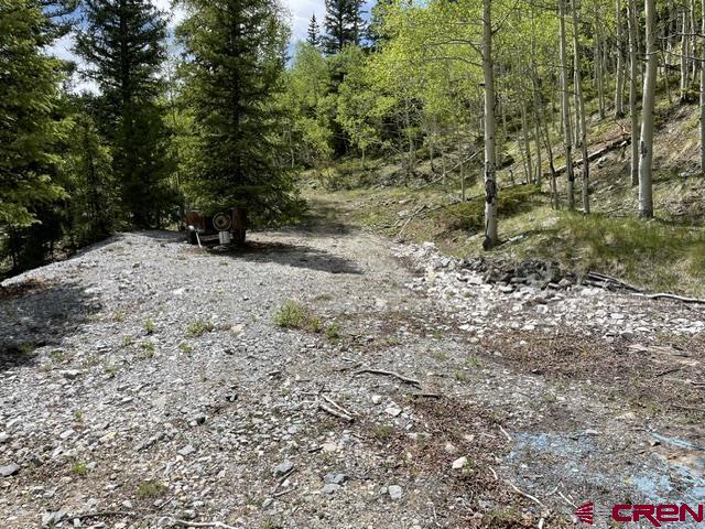 Tbd Usfs Rd 766 Road Property Photo 12