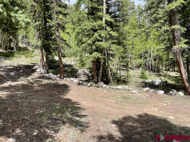 Tbd Usfs Rd 766 Road Property Photo 13