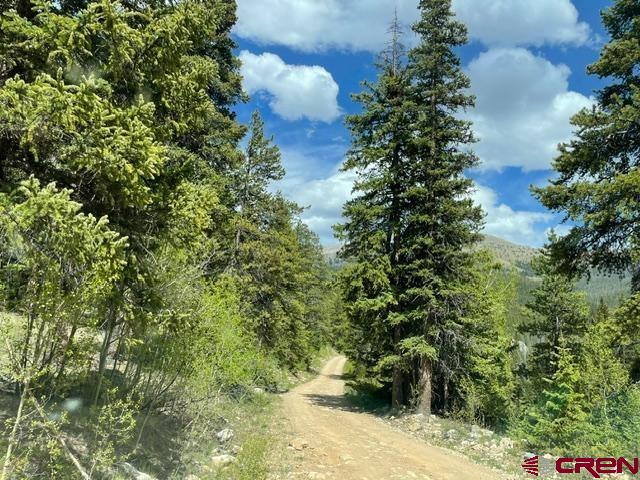 Tbd Usfs Rd 766 Road Property Photo 14
