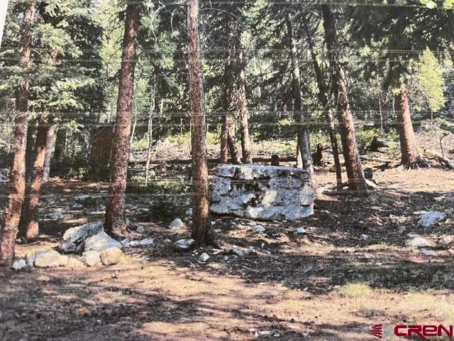 Tbd Usfs Rd 766 Road Property Photo 19