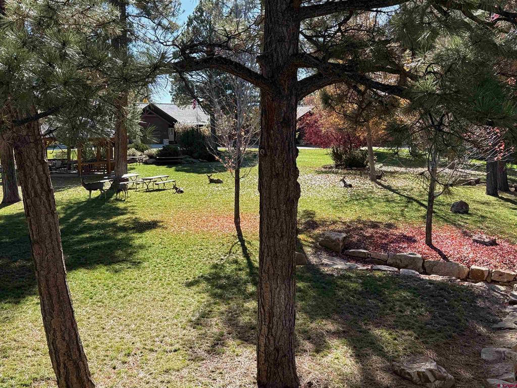 1135 Park Avenue Property Photo 6
