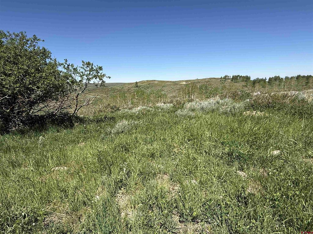 12951 Ms Road Property Photo 18