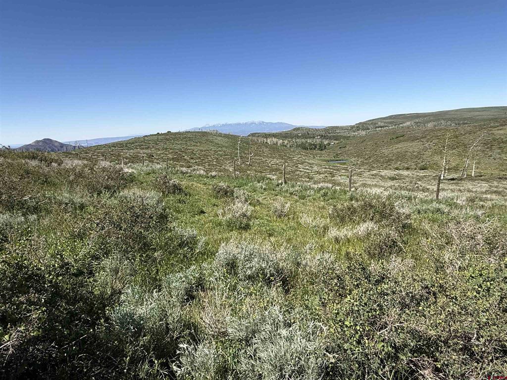 12951 Ms Road Property Photo 19
