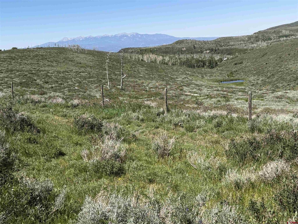 12951 Ms Road Property Photo 20