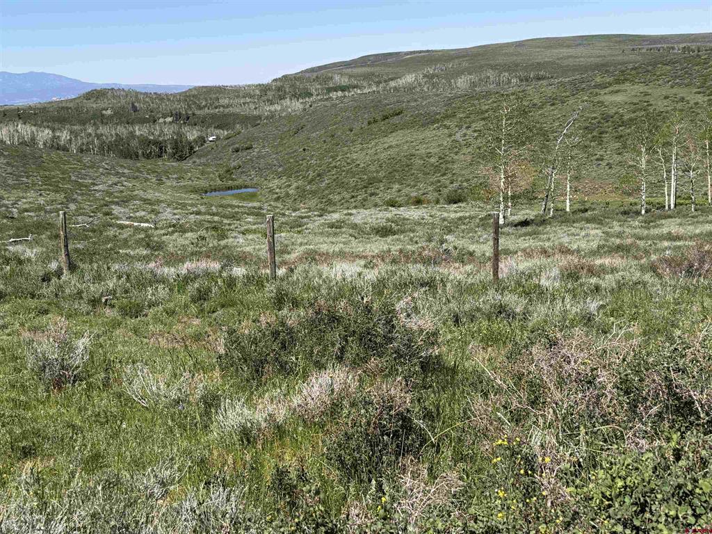 12951 Ms Road Property Photo 21