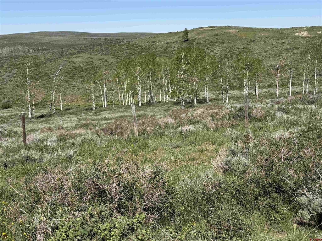 12951 Ms Road Property Photo 22