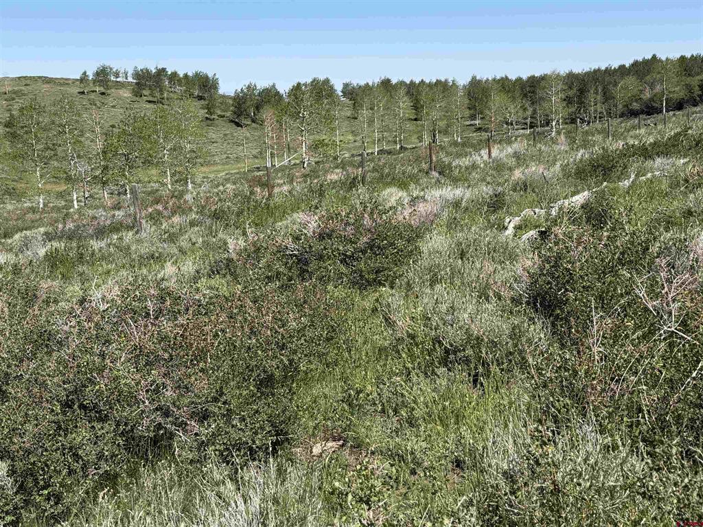 12951 Ms Road Property Photo 23