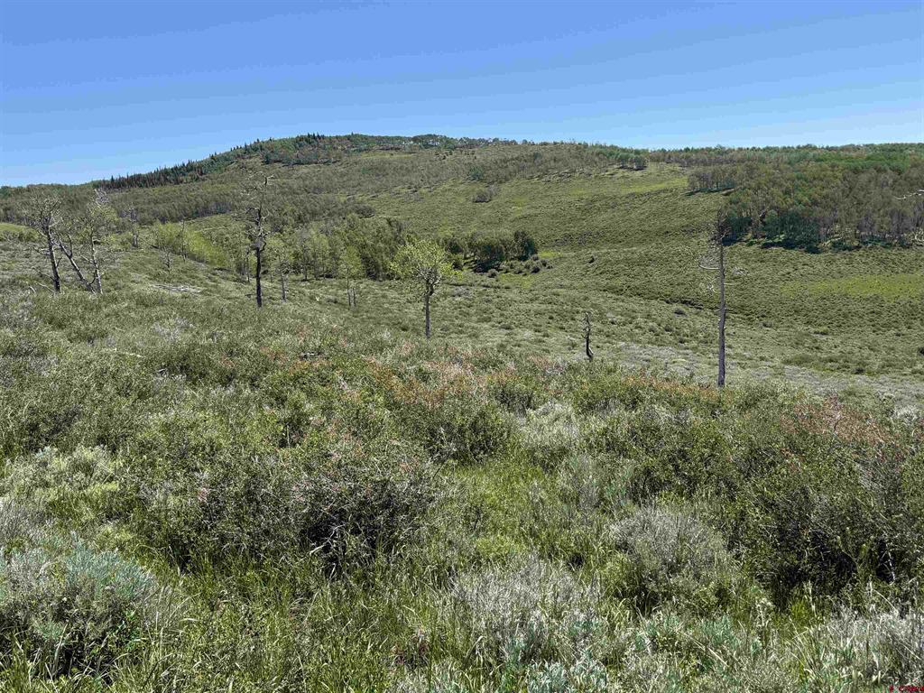 12951 Ms Road Property Photo 25