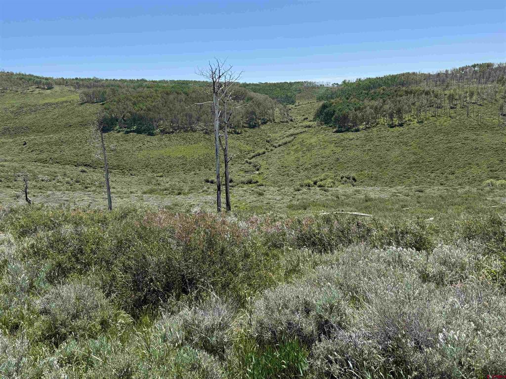 12951 Ms Road Property Photo 26