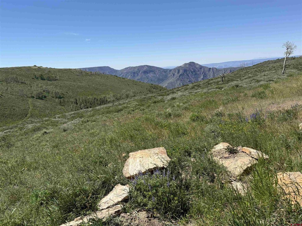 12951 Ms Road Property Photo 27