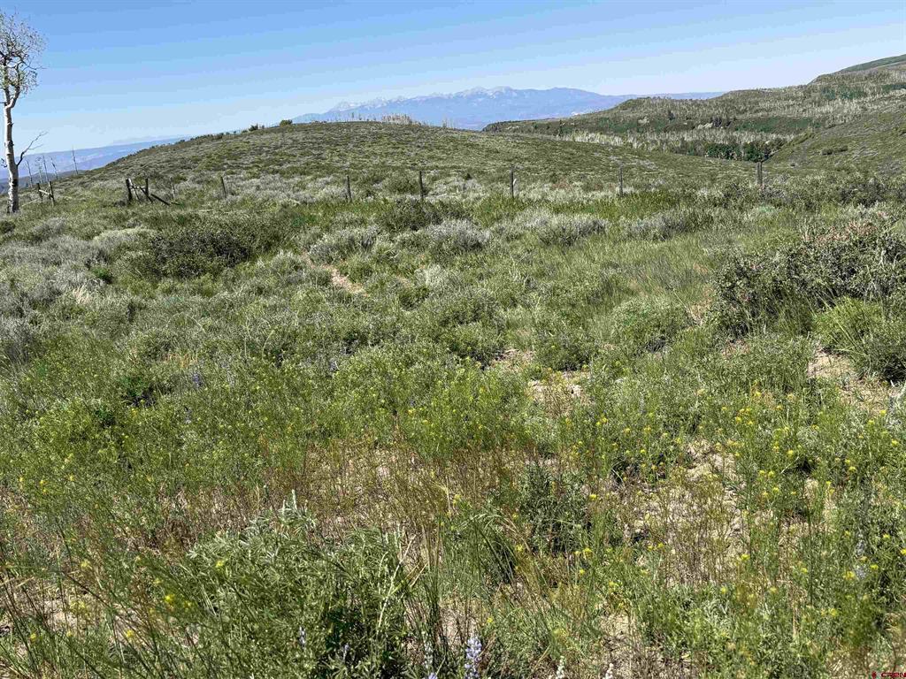 12951 Ms Road Property Photo 28