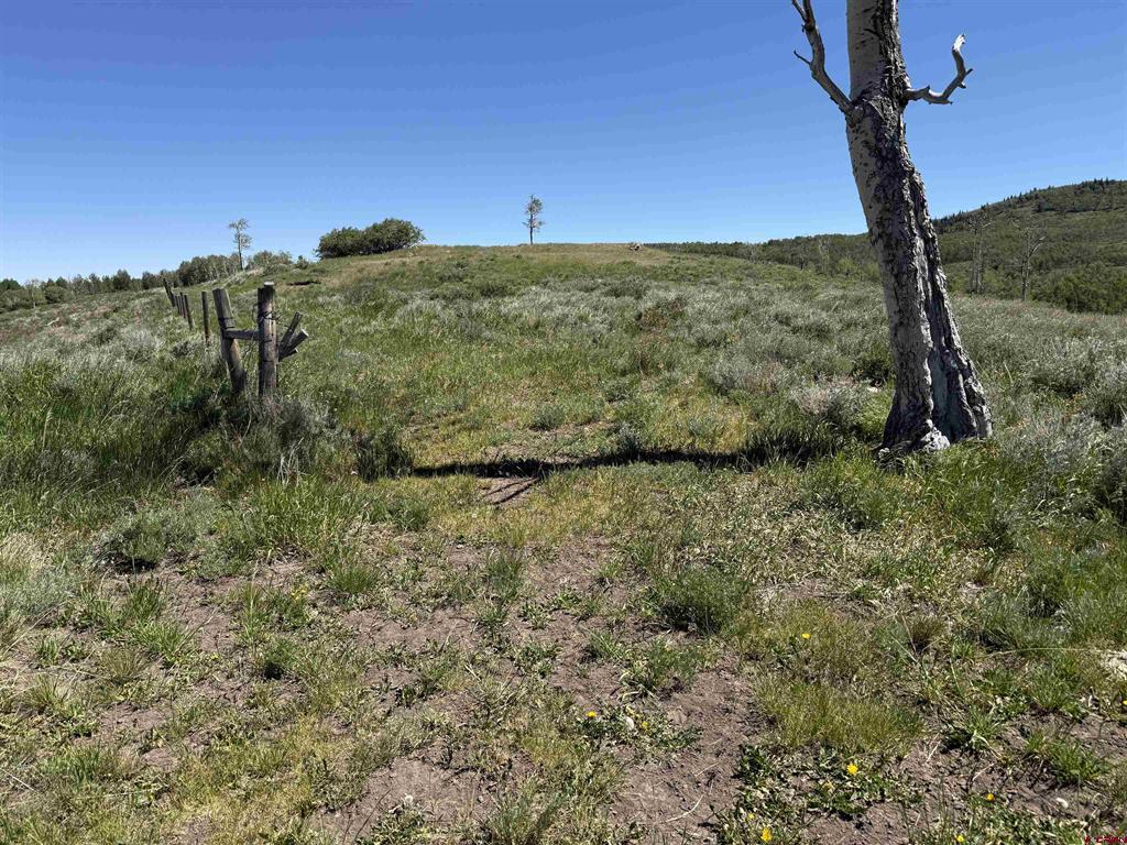 12951 Ms Road Property Photo 30
