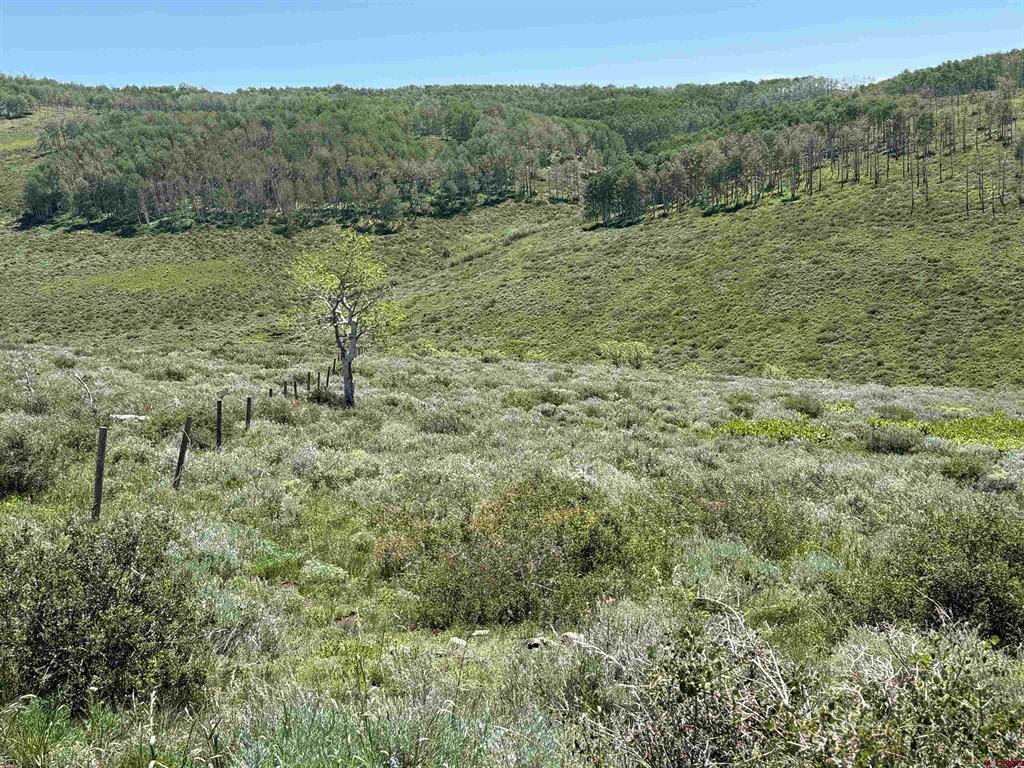12951 Ms Road Property Photo 31