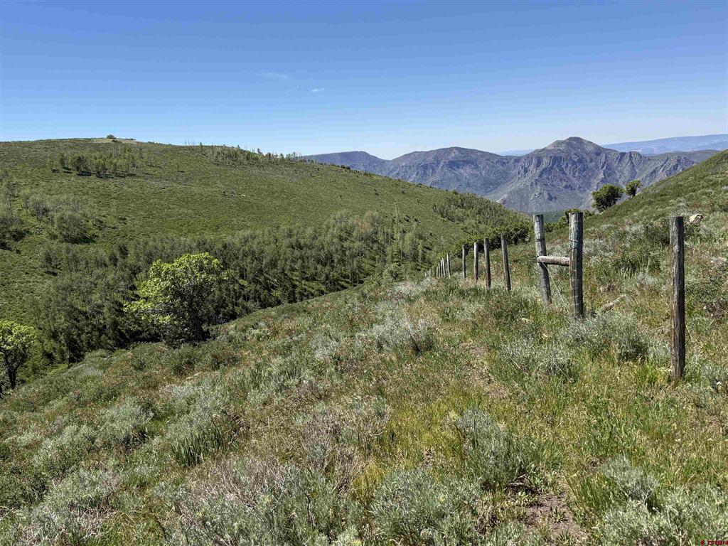 12951 Ms Road Property Photo 33