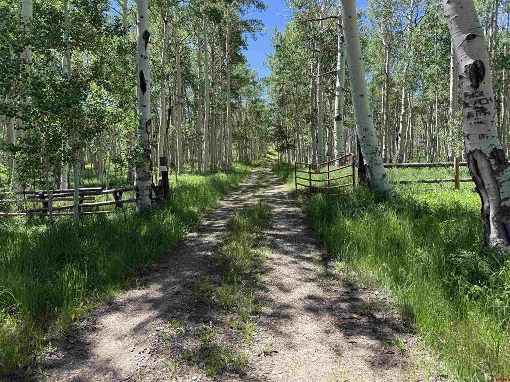 12951 Ms Road Property Photo 34