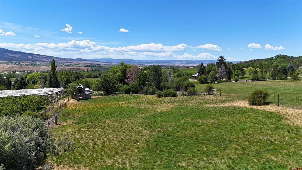 39389 Pitkin Road Property Photo 4