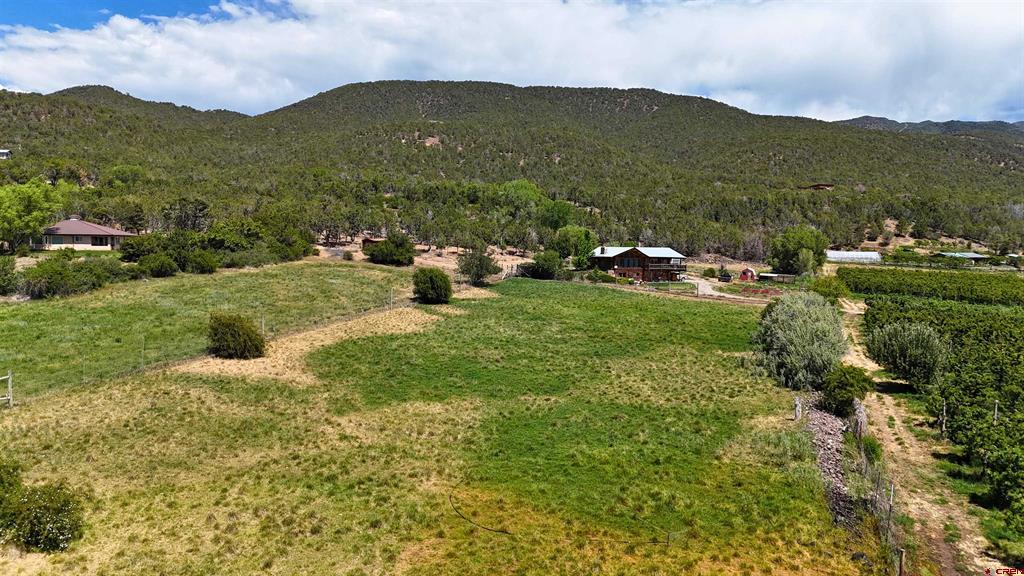 39389 Pitkin Road Property Photo 26