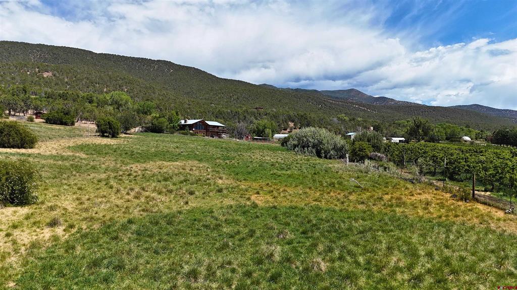39389 Pitkin Road Property Photo 37