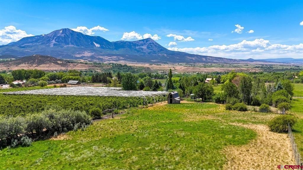 39389 Pitkin Road Property Photo 41