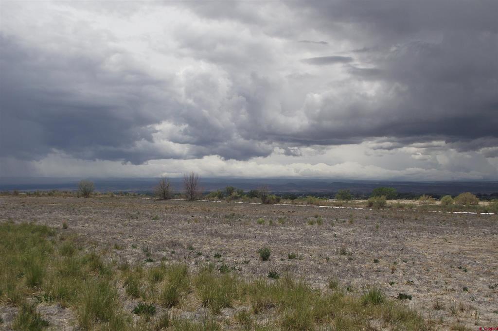 Lot 3, Tbd 1900 Road Property Photo 14