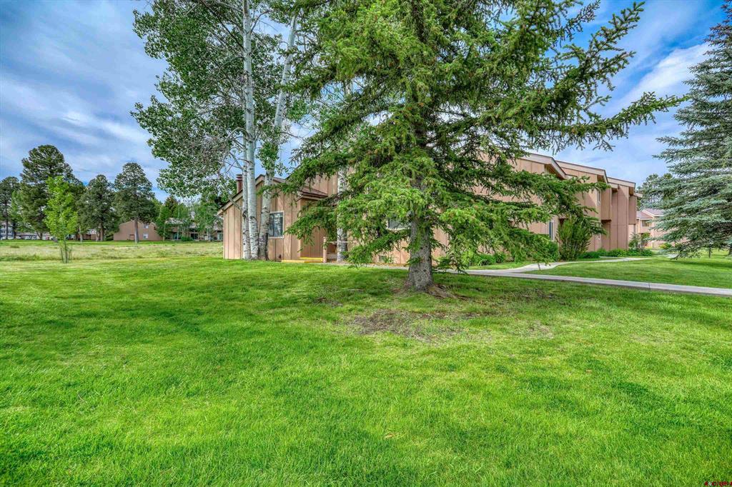 145 Davis Cup Drive Property Photo 3