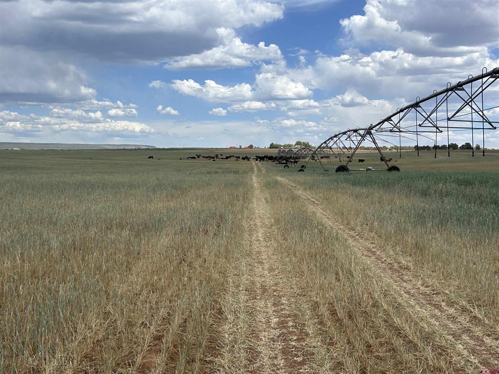 Tbd Road 15 Property Photo 1