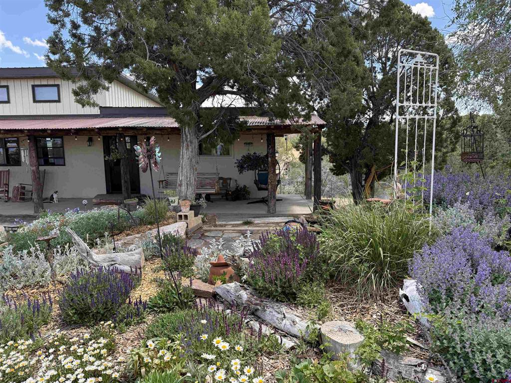 31807 B50 Road Property Photo 19