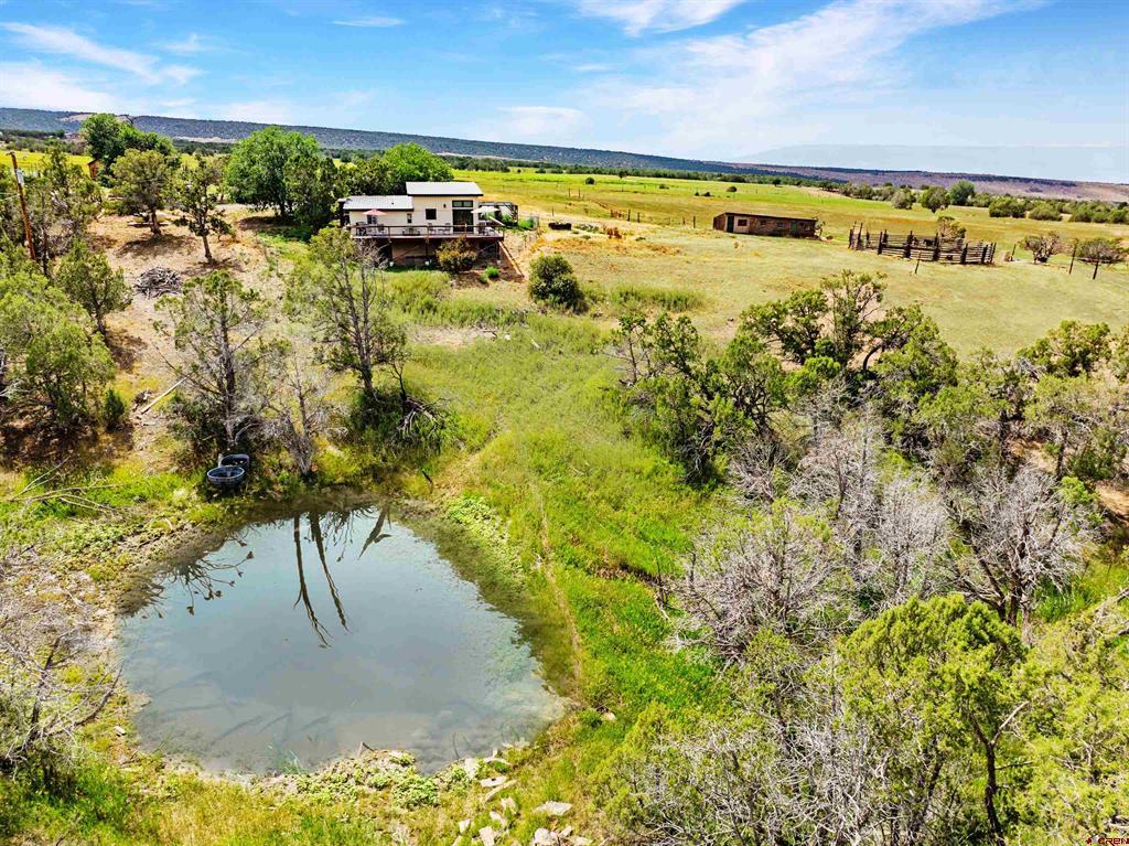 31807 B50 Road Property Photo 24