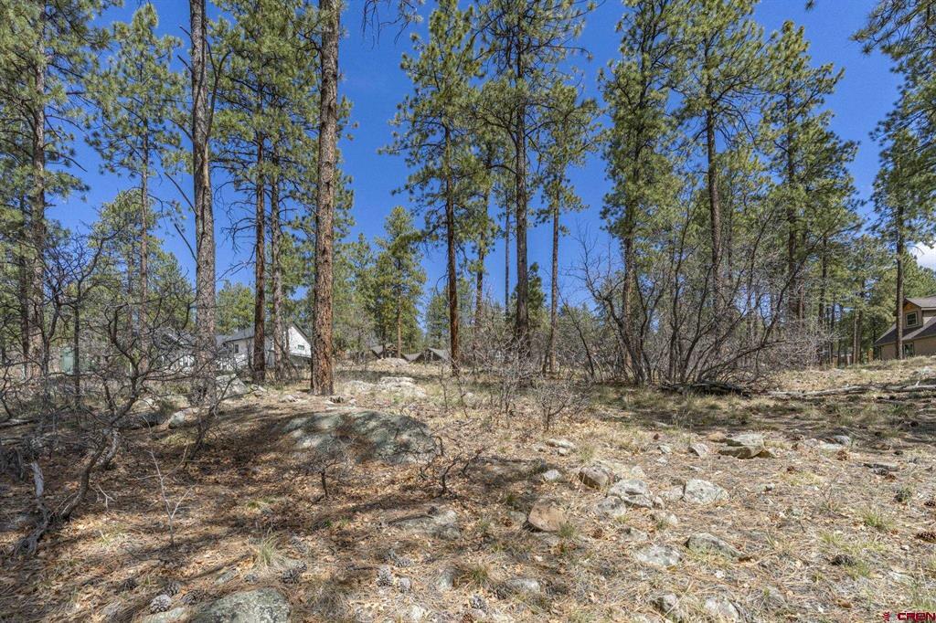 140 Cabin Creek Drive Property Photo 4