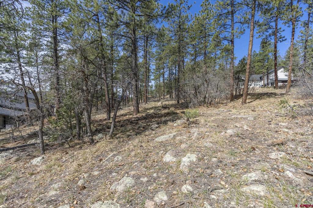 140 Cabin Creek Drive Property Photo 8