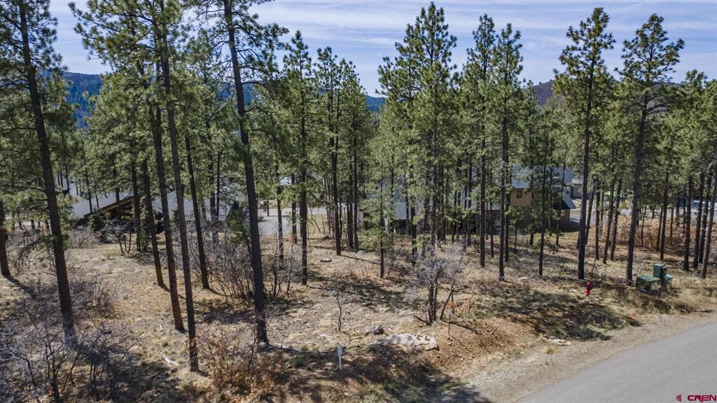 140 Cabin Creek Drive Property Photo 10