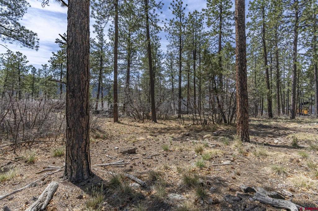 140 Cabin Creek Drive Property Photo 13