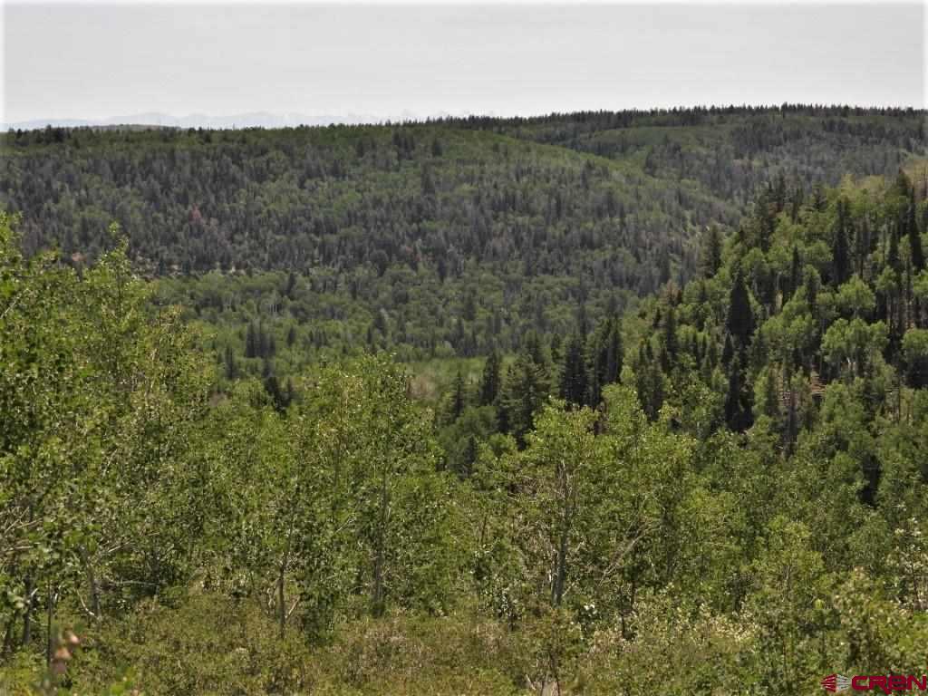 Tbd Transfer Road Property Photo 2