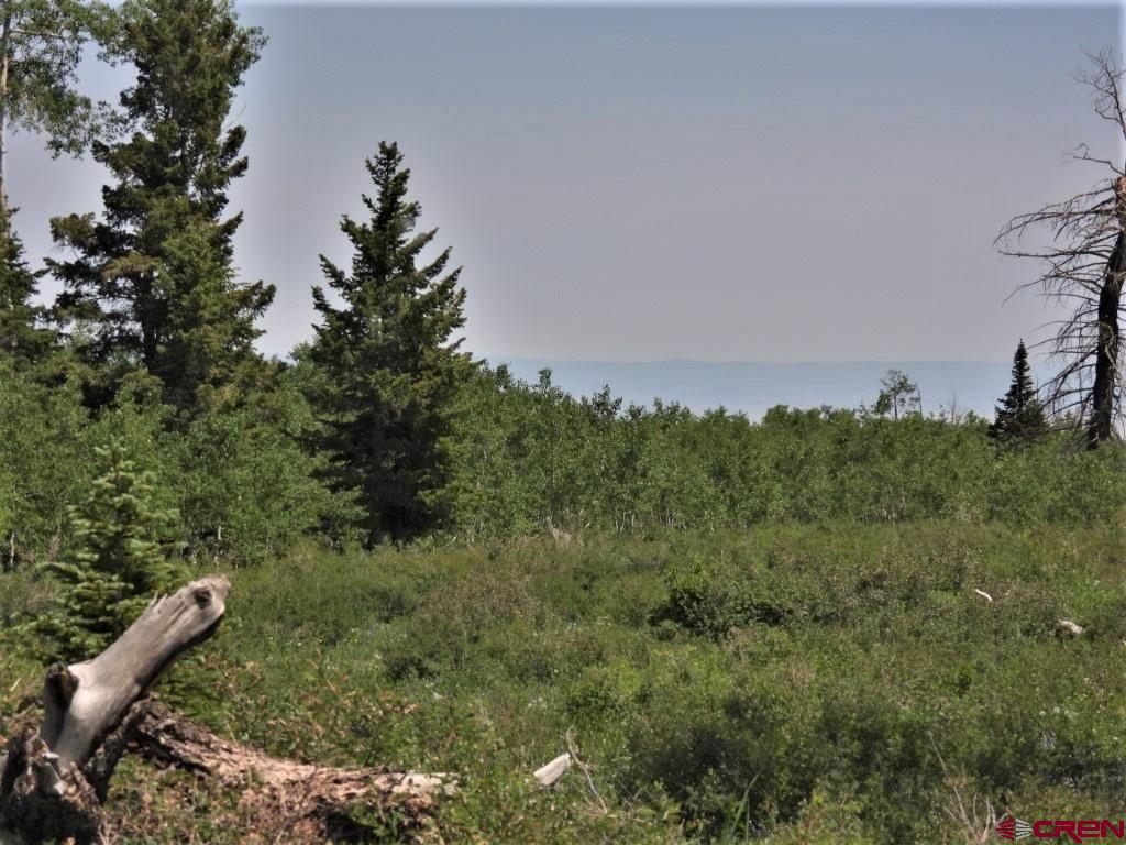 Tbd Transfer Road Property Photo 3