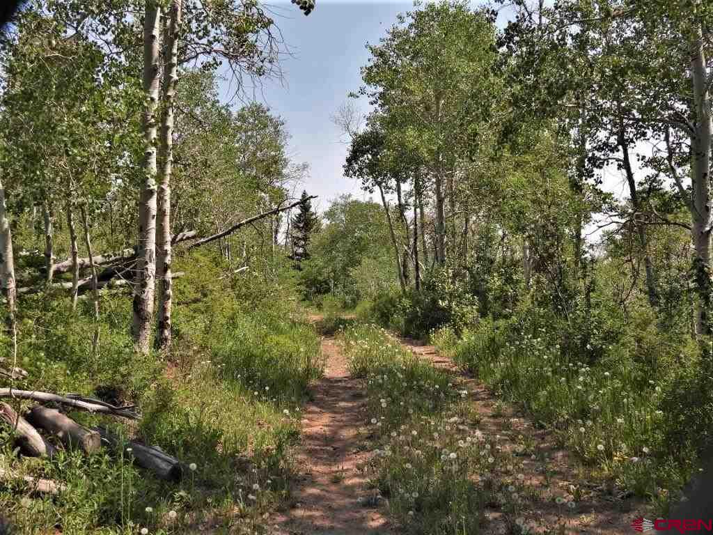Tbd Transfer Road Property Photo 4