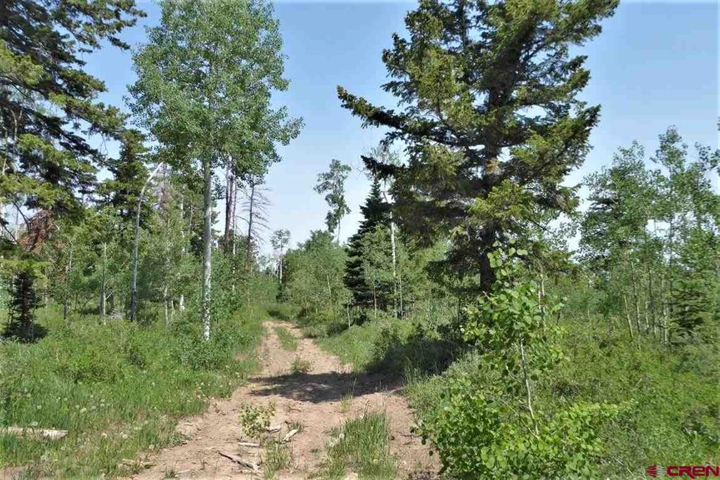 Tbd Transfer Road Property Photo 5