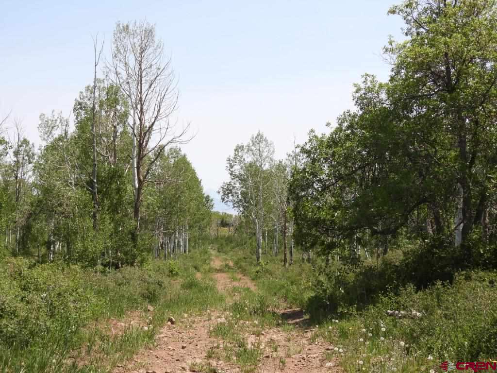 Tbd Transfer Road Property Photo 6