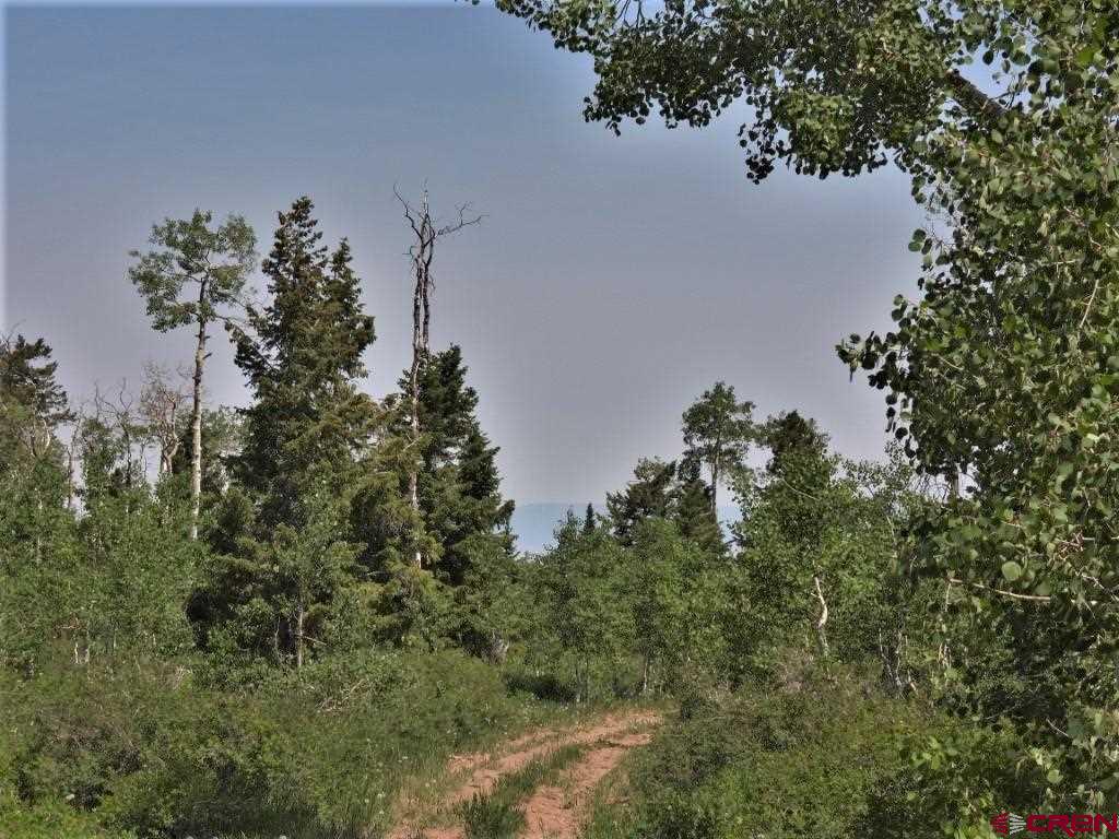 Tbd Transfer Road Property Photo 7